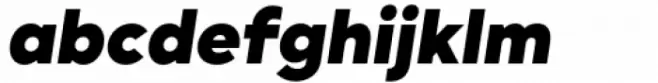 Willgray A Heavy Italic