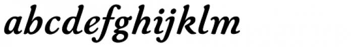 Winchester New Std Bold Italic