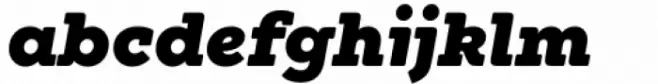 Winden Alt Black Italic