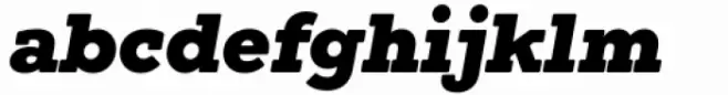 Winden Black Italic