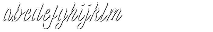 Wingman Brush Regular Shadow