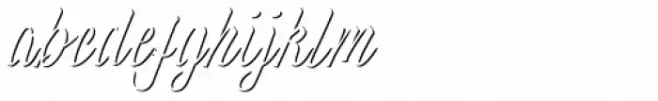 Wingman Brush Regular Shadow