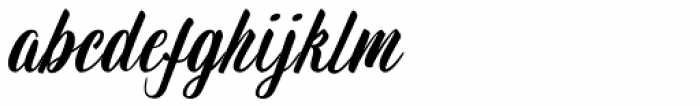 Wingman Brush Regular