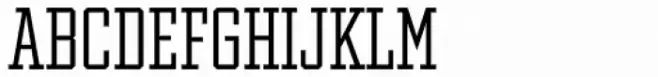 Winner Condensed Light