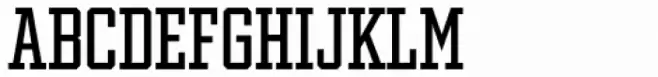 Winner Condensed Regular