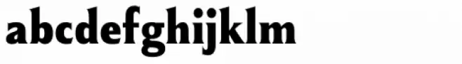 Winsel Condensed Black