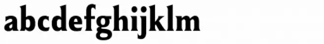 Winsel Condensed Bold