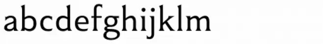 Winsel Extended Thin