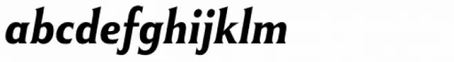 Winsel Norm Bold Italic