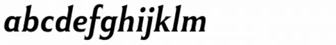 Winsel Norm Medium Italic