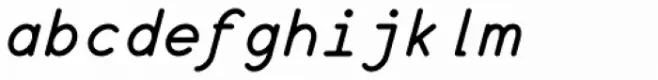 Wire Type Mono Bold Italic