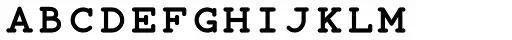 Wire Type Mono SC Bold