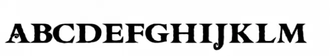 Witcher Knight Regular