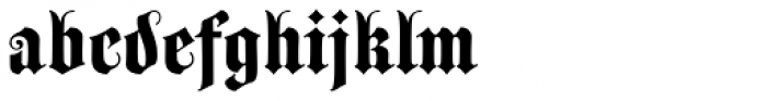 Wittingau Bold