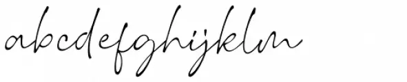 Wonderline Regular