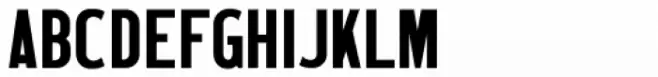 Wood Type Grotesk JNL