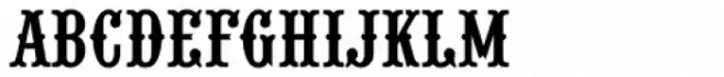 Wood Type URW D