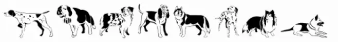 Woof