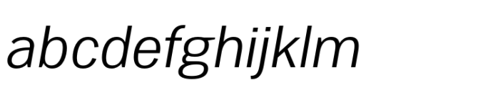 Woolworth Book Italic
