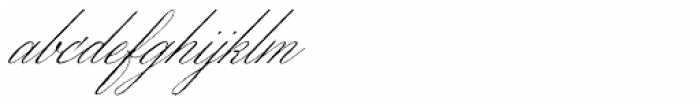 Wordless Script Regular