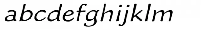 Worstveld Hand Expanded Italic