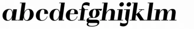 WT Volkolak Serif Poster Bold Italic
