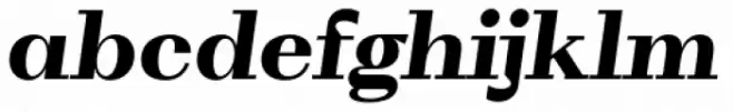 WT Volkolak Serif Text Black Italic