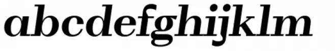 WT Volkolak Serif Text Bold Italic