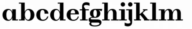 WT Volkolak Serif Text Bold