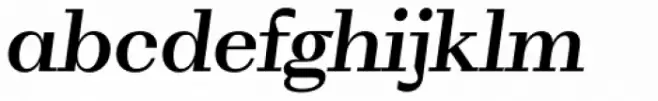 WT Volkolak Serif Text Medium Italic