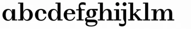 WT Volkolak Serif Text Medium