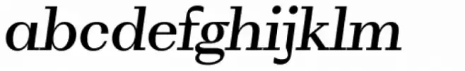 WT Volkolak Serif Text Regular Italic