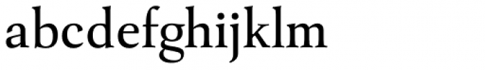 Xaloc Caption
