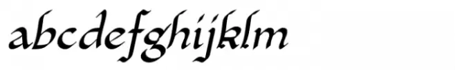 Xaltid Bold Oblique