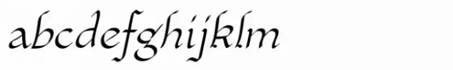 Xaltid Oblique