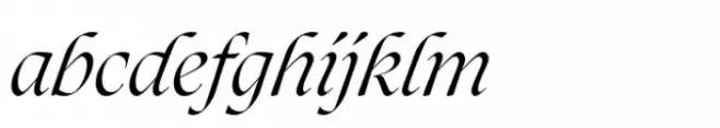 Xilene Italic