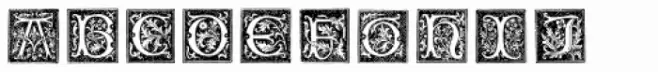 XVI Century Shaw Woodcuts