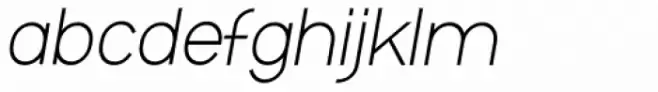 XXII MISANTHROPIA Italic Stupida