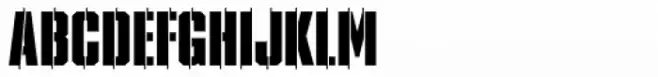 XXII STREITKRAFT ZWEI