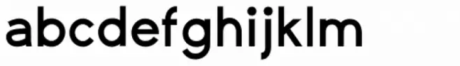 Yassitf Bold