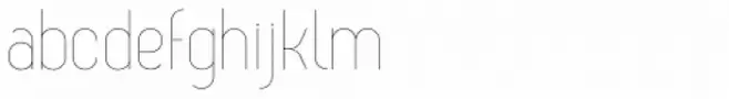 Zag Thin