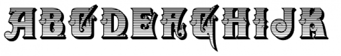 Zanderley Initials