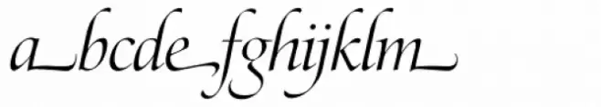 Zapf Renaissance Antiqua Swashed Light Italic