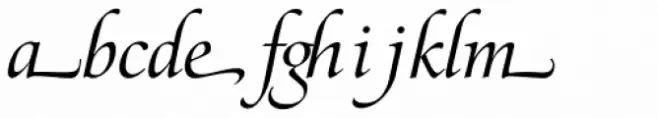 Zapf Renaissance B EF Book Italic Swash