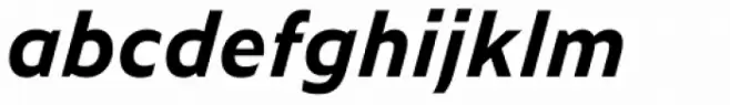 Zeitung Micro Pro Bold Italic