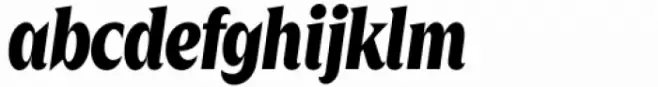 Zin Display Condensed Black Italic