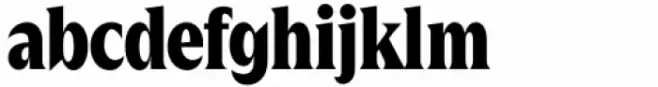 Zin Display Condensed Black