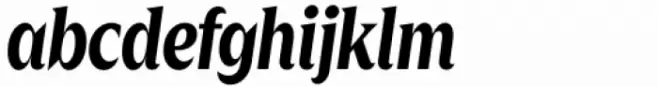 Zin Display Condensed Bold Italic