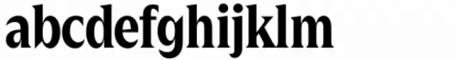 Zin Display Condensed Bold