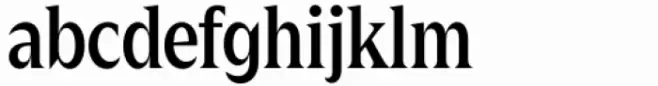 Zin Display Condensed Demo